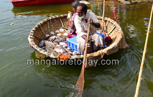 Pilikula fish fest 2015